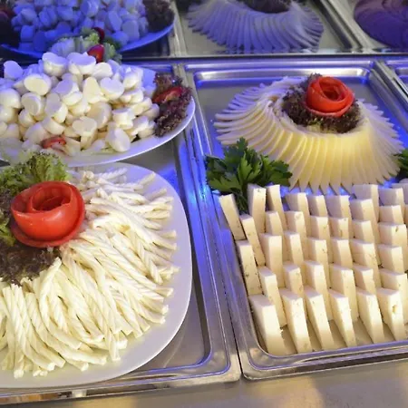 Gumus Palace فندق