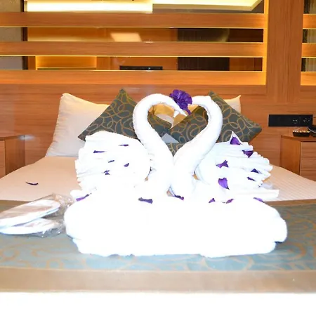 فندق Gumus Palace 3*