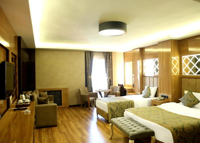 Ξενοδοχείο Gumus Palace Κωνσταντινούπολη